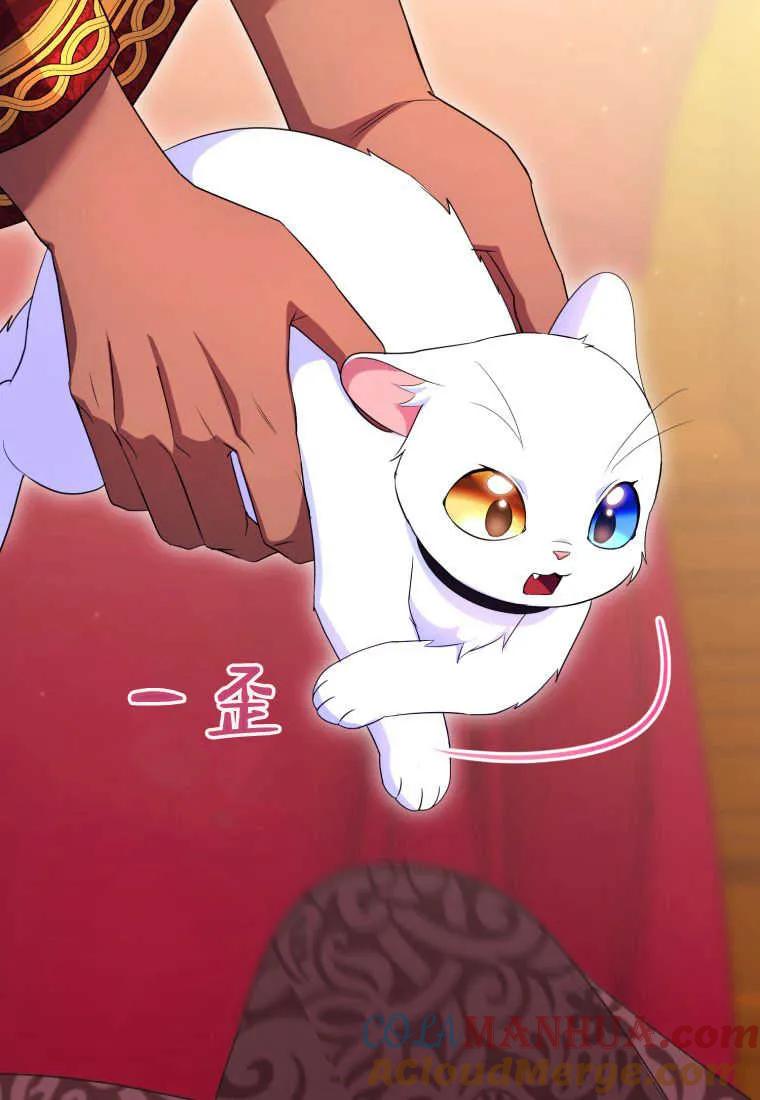 成为苏尔坦珍爱的猫咪 第30话 第12页