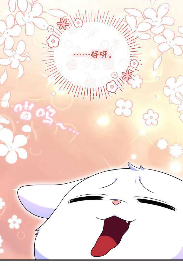 成为苏尔坦珍爱的猫咪 第30话 第33页