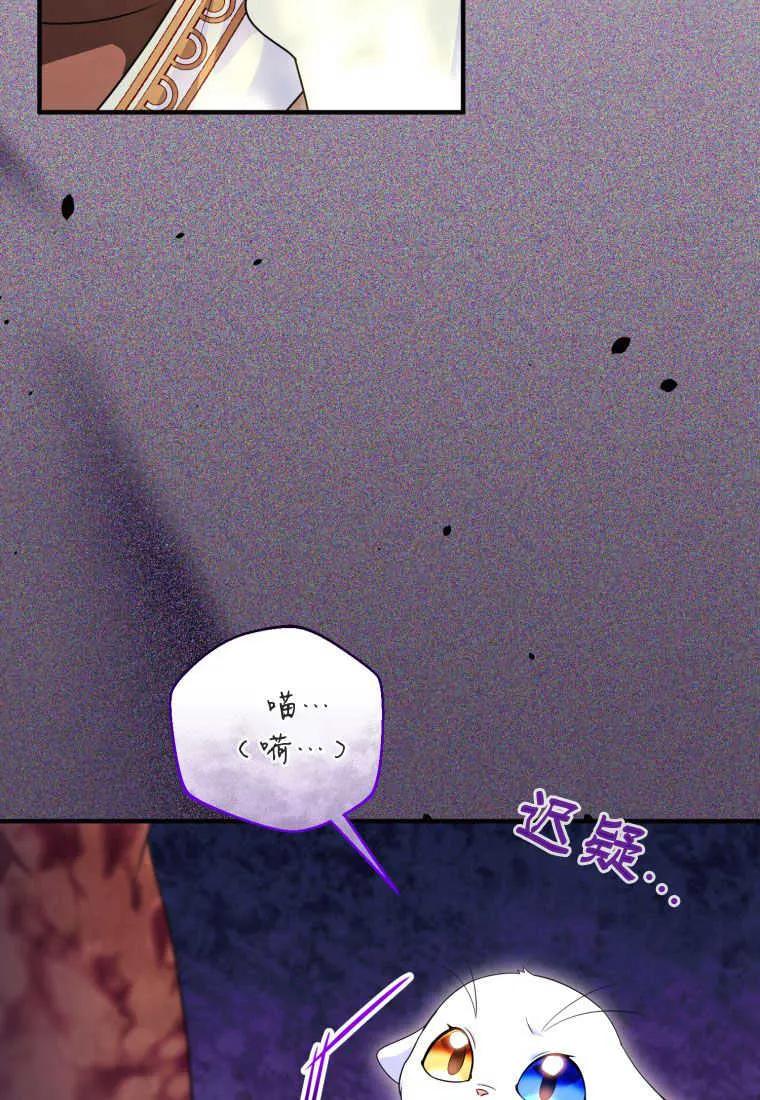 成为苏尔坦珍爱的猫咪 第30话 第58页