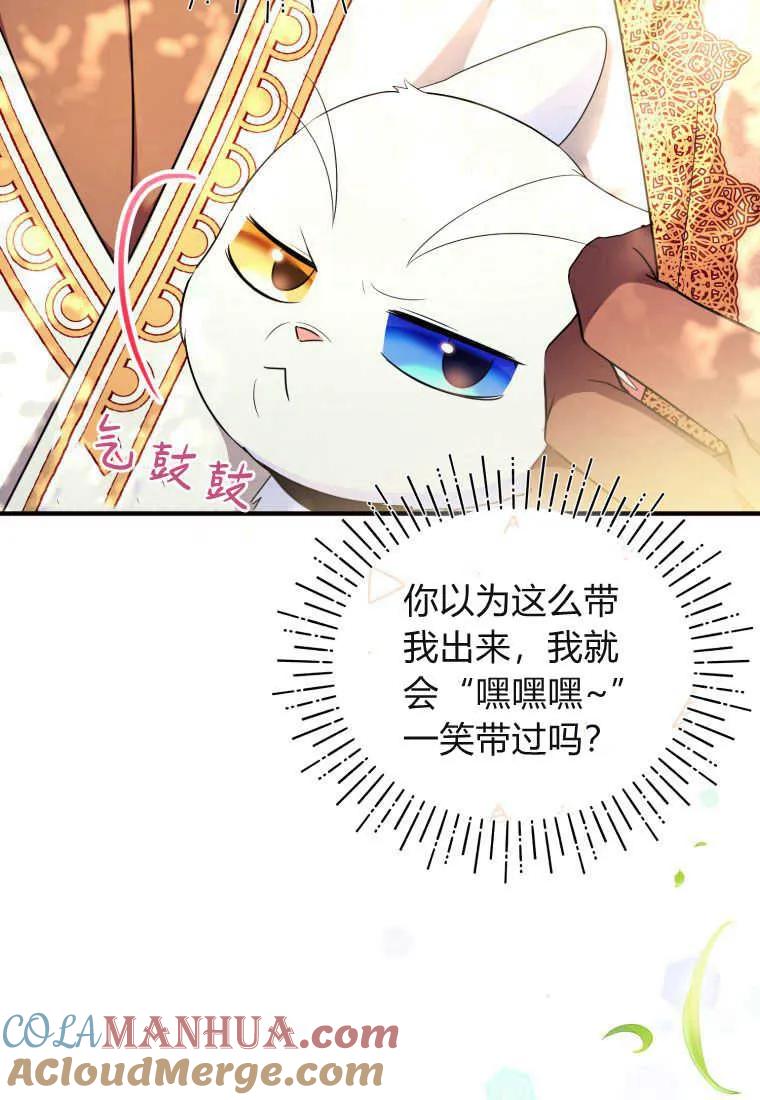 成为苏尔坦珍爱的猫咪 第30话 第40页