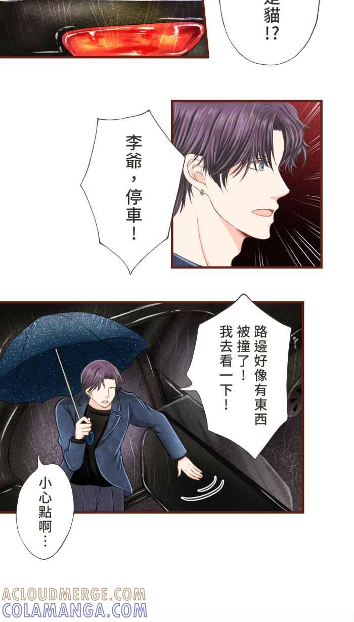 《霸总就爱吃定我》【第10话】悲痛的雨声 第15页