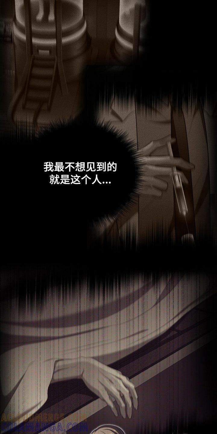 《双重血脉》第59章：儿子 第15页