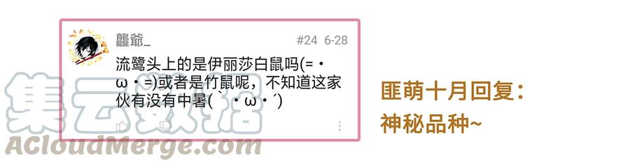 师弟你节操掉了 - 08 我家师兄最和善？ - 第69张图