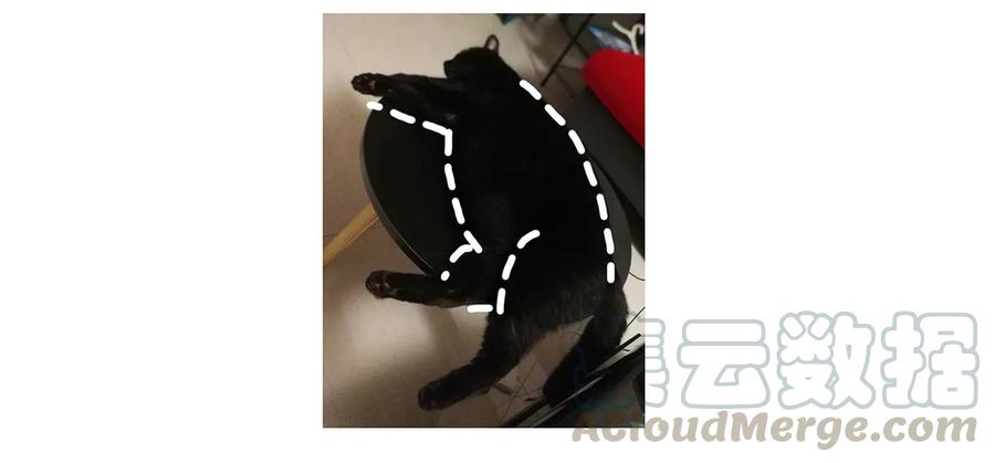 师弟你节操掉了 - 19 独乐乐不如众乐乐！ - 第53张图