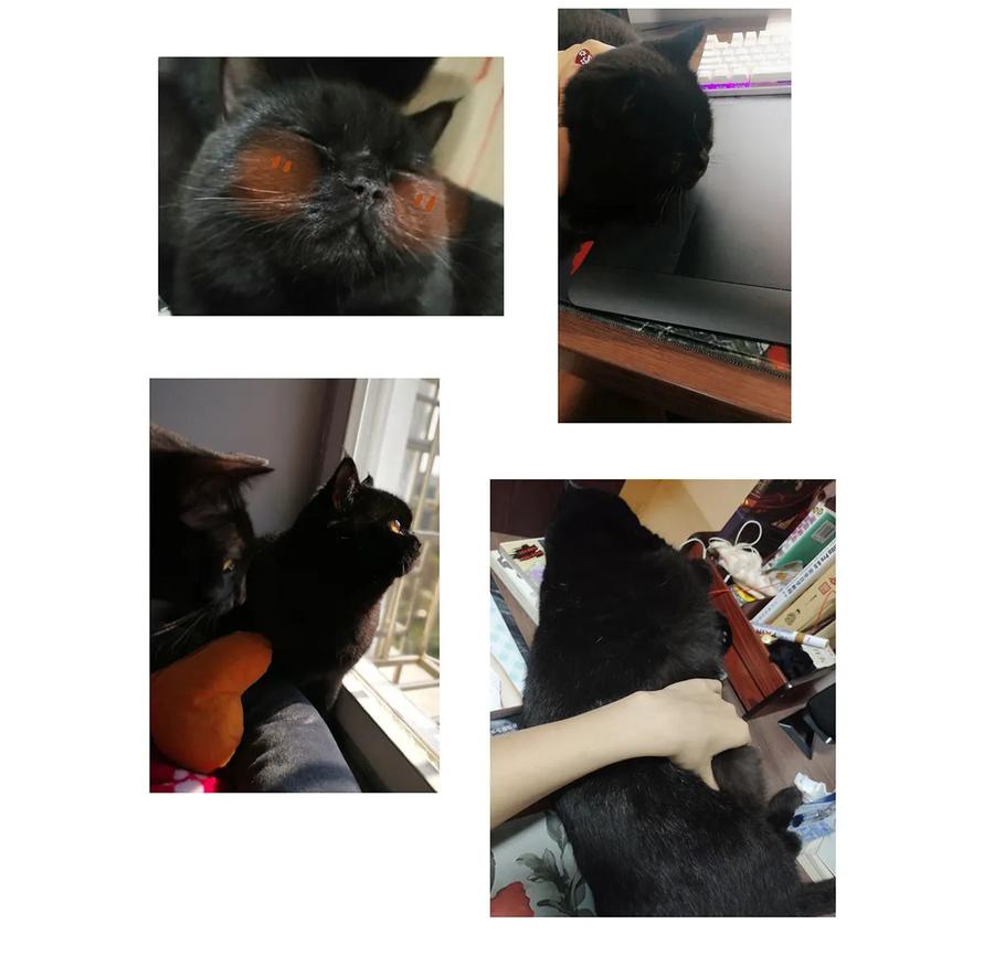 师弟你节操掉了 - 19 独乐乐不如众乐乐！ - 第55张图