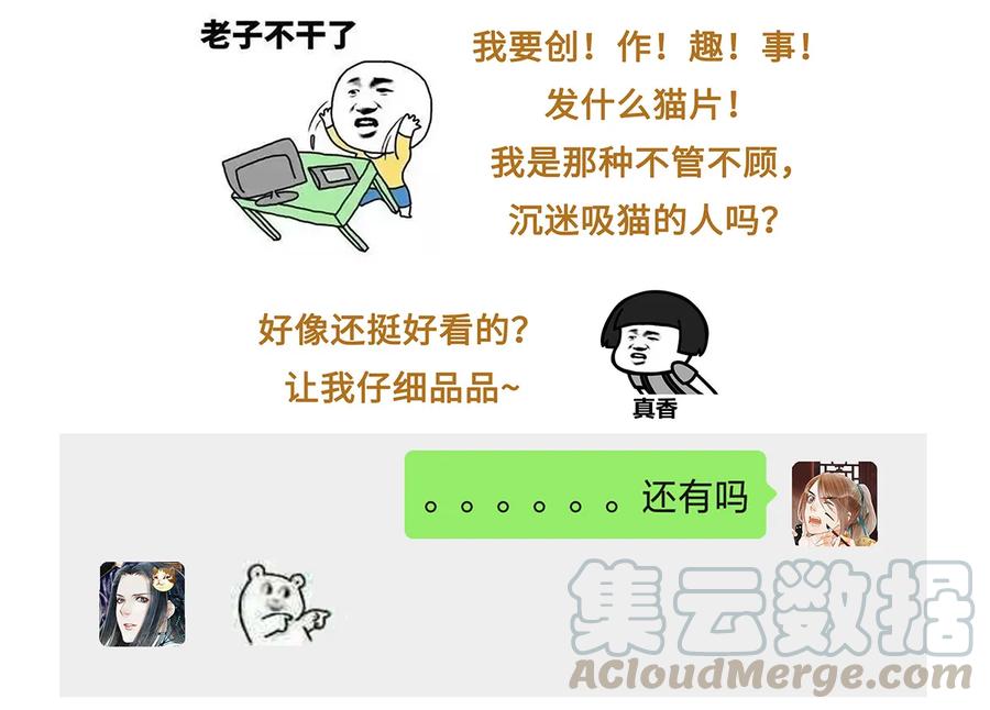 师弟你节操掉了 - 21 墙头众多，唯有师兄本命 - 第57张图