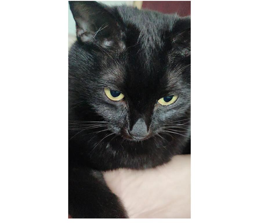 师弟你节操掉了 - 21 墙头众多，唯有师兄本命 - 第59张图