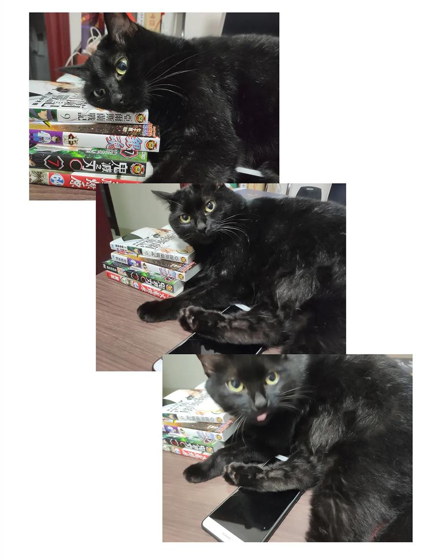 师弟你节操掉了 - 21 墙头众多，唯有师兄本命 - 第56张图