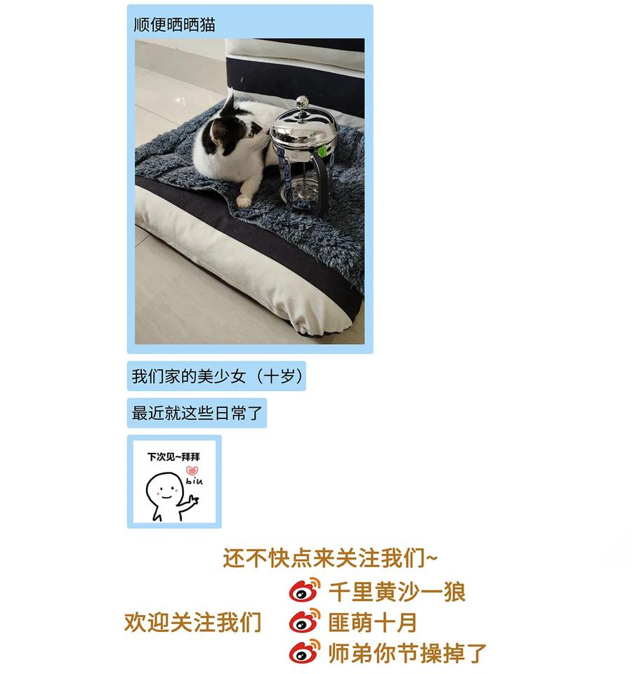 师弟你节操掉了 - 25 不想被你讨厌 - 第54张图