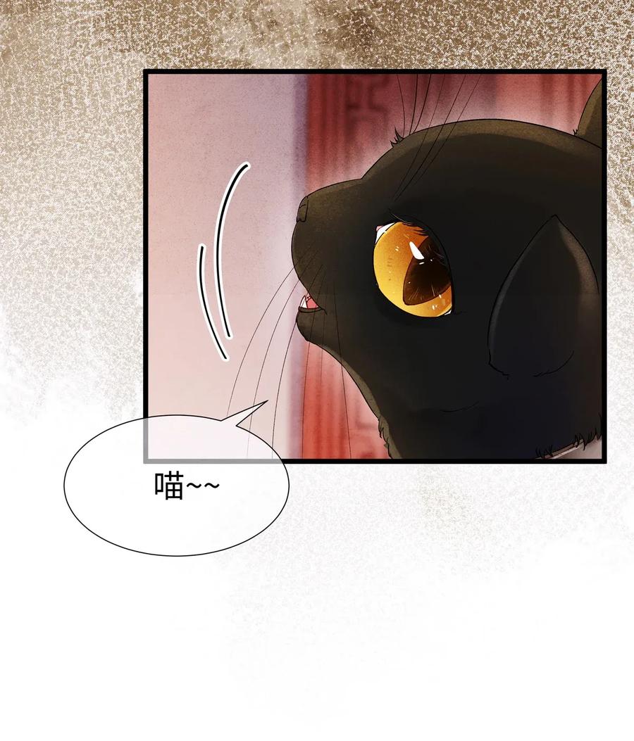 师弟你节操掉了 - 72 这就是……夜猫族的传国圣物！ - 第18张图