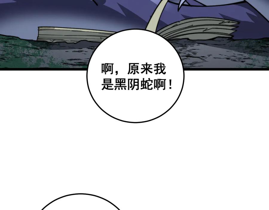 老蛇修仙传（蛇祖） 老黑蛇临终遗愿 第135页