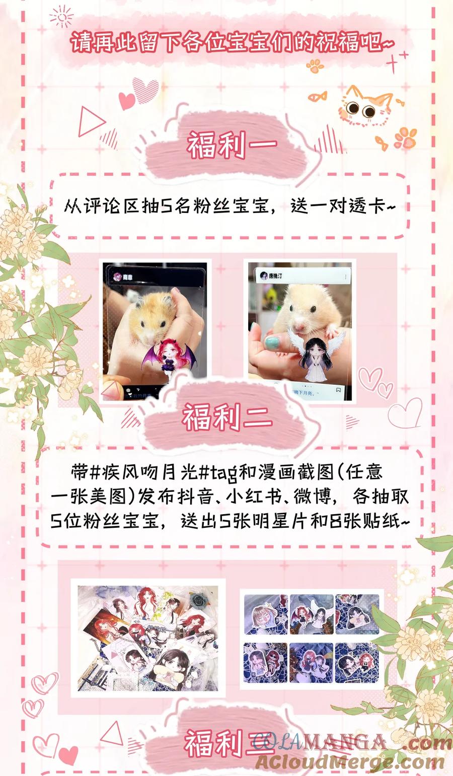 《疾风吻月光》公告 官宣大吉 第2页