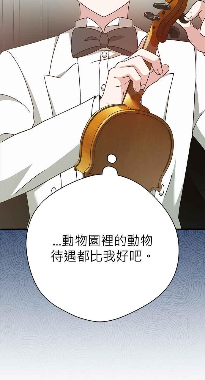 《音乐天才：重生的乐章》第33话 第50页