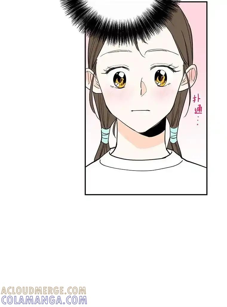 《追逐光的爱恋》109.历史重演 第22页
