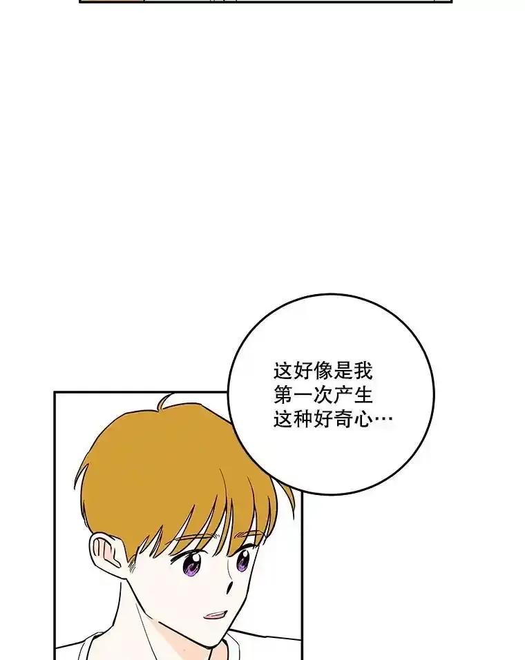 《追逐光的爱恋》109.历史重演 第39页