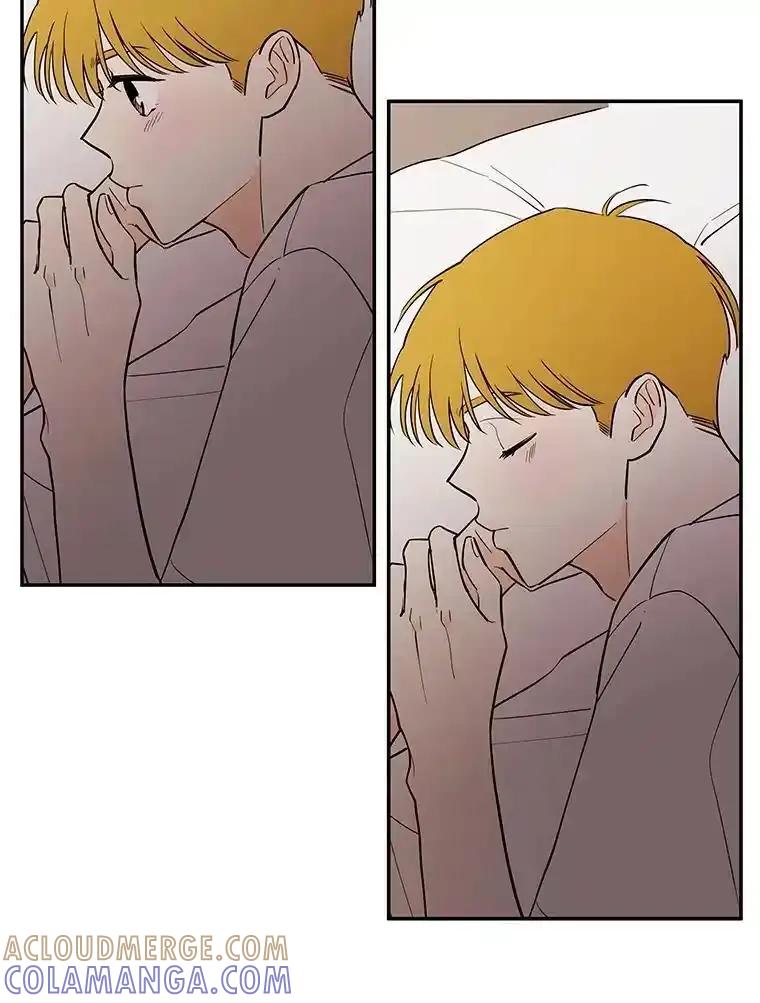 《追逐光的爱恋》111.晚安，柔琳 第61页