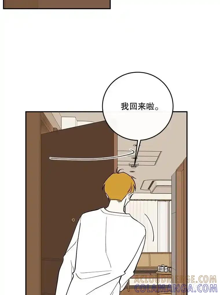 《追逐光的爱恋》111.晚安，柔琳 第16页