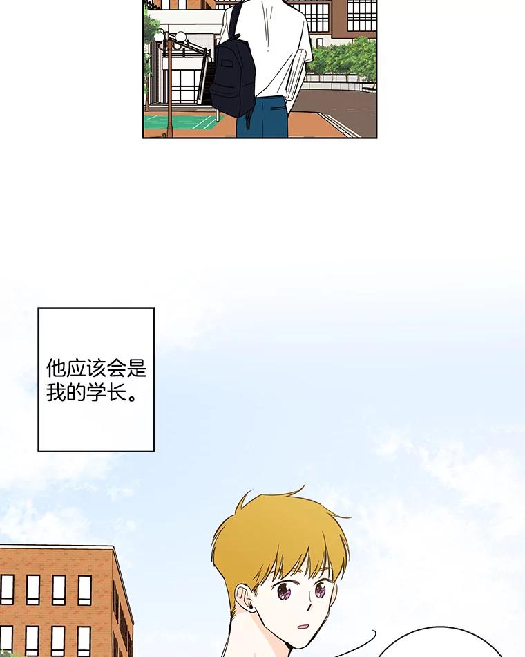 《追逐光的爱恋》65.学校相见 第33页