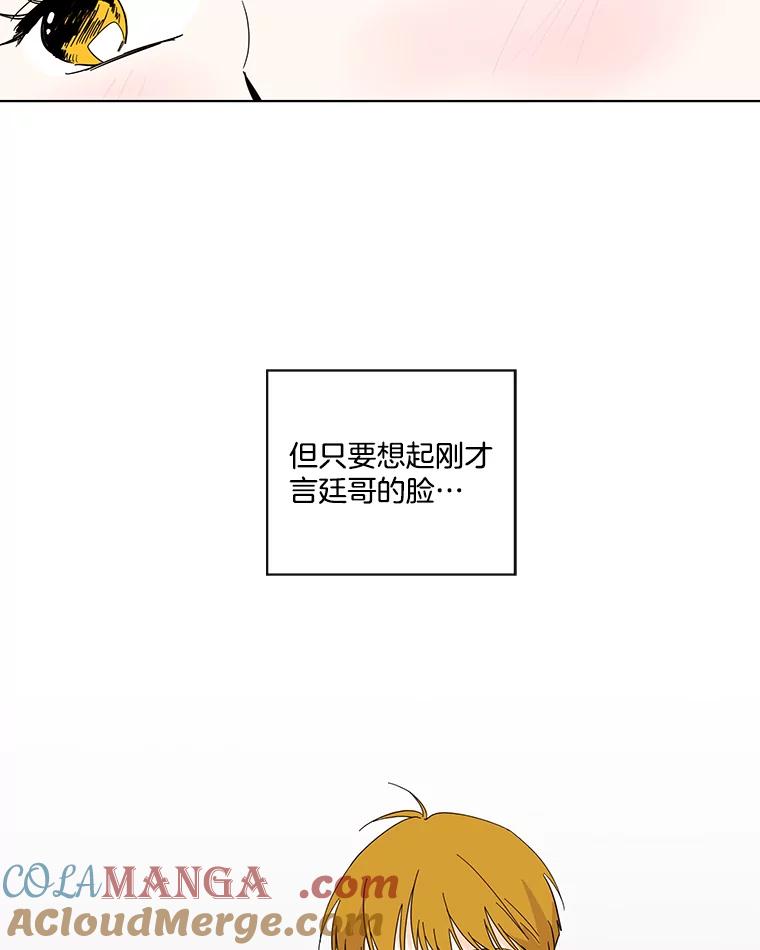 《追逐光的爱恋》67.要再去我们学校吗？ 第37页