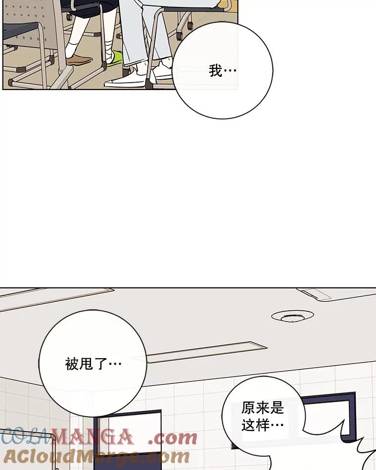 《追逐光的爱恋》67.要再去我们学校吗？ 第4页