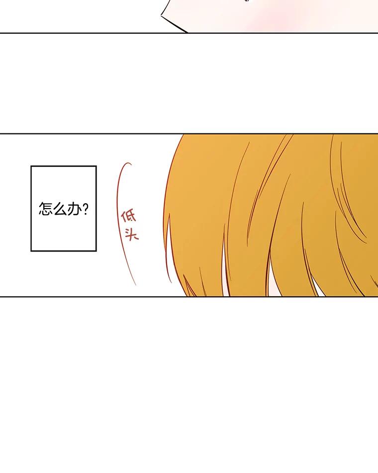 《追逐光的爱恋》77.重新来过 第51页
