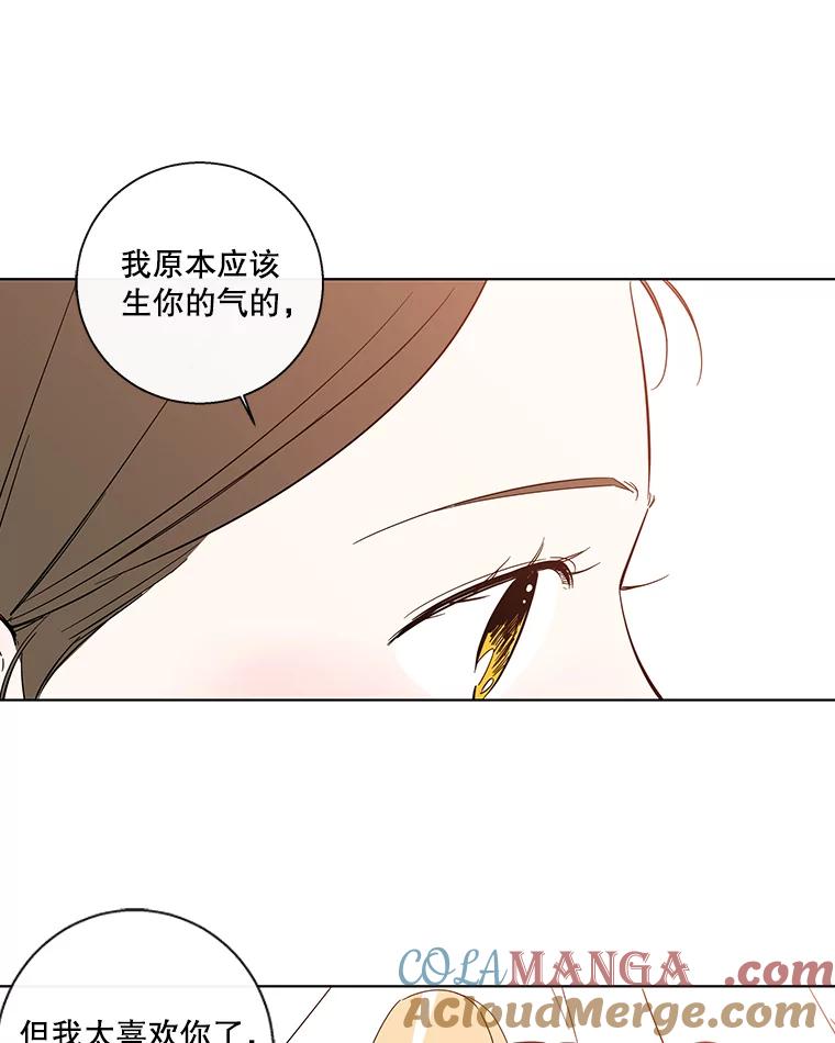 《追逐光的爱恋》77.重新来过 第49页
