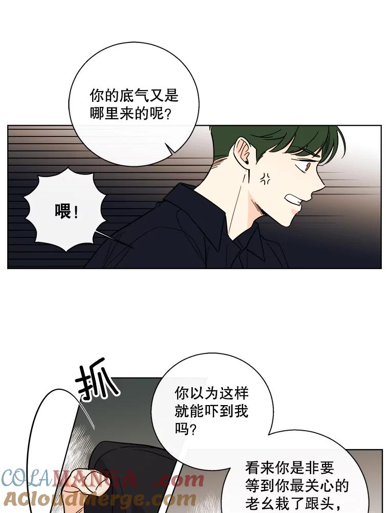 《追逐光的爱恋》85.威胁 第46页