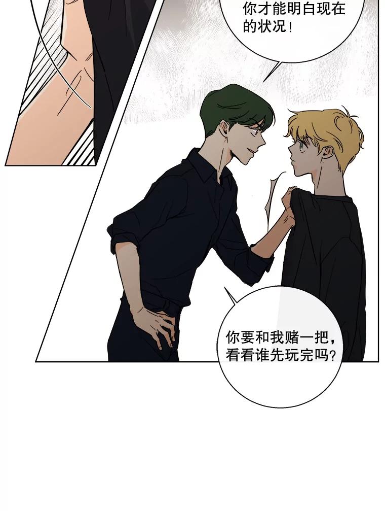 《追逐光的爱恋》85.威胁 第47页