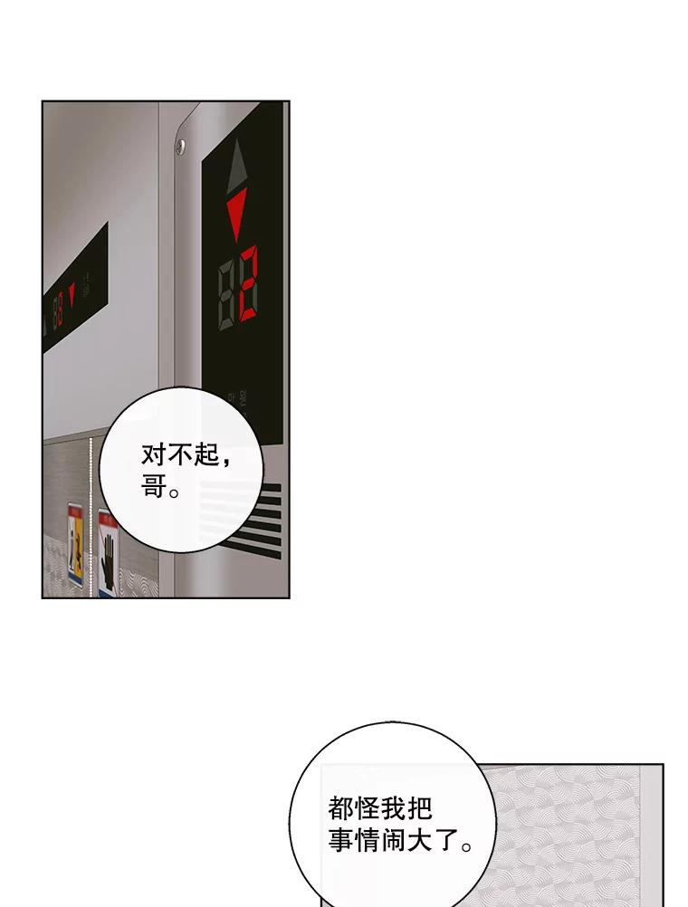 《追逐光的爱恋》86.闹剧的结束 第35页