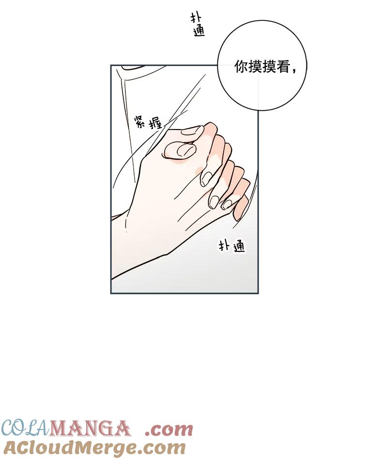 《追逐光的爱恋》91.柔琳的主动 第40页