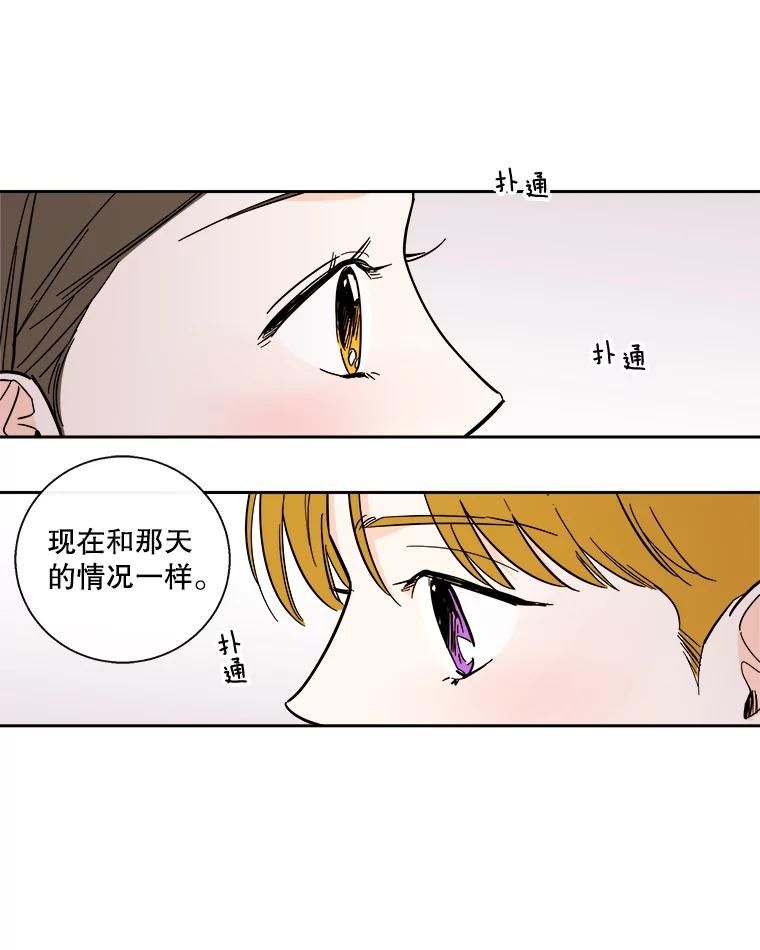 《追逐光的爱恋》91.柔琳的主动 第39页