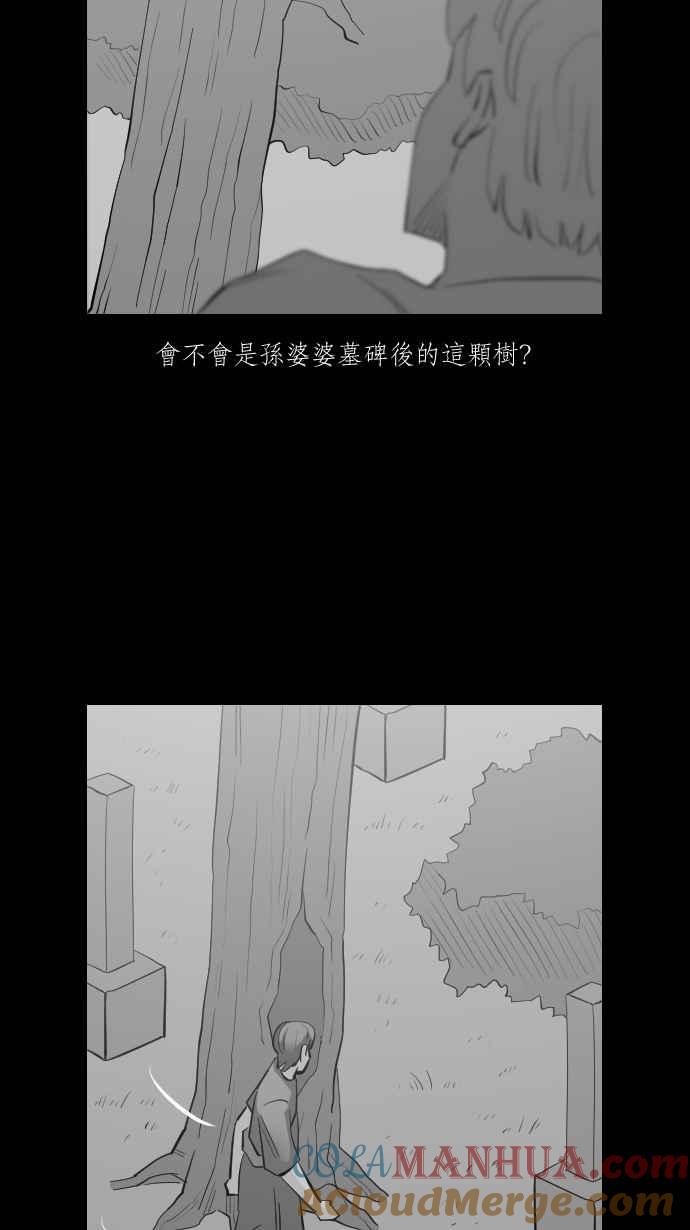 黑盒子 [第294话] 巫树(4) 第31页