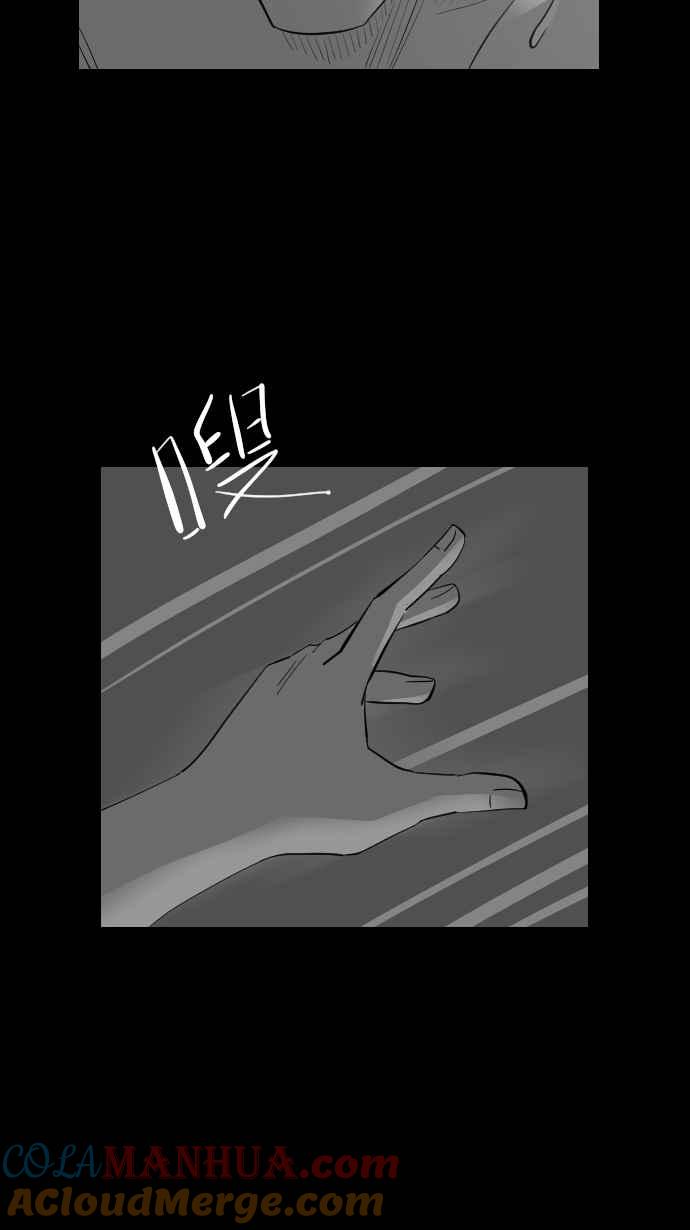 黑盒子 [第296话] 巫树(6) 第3页