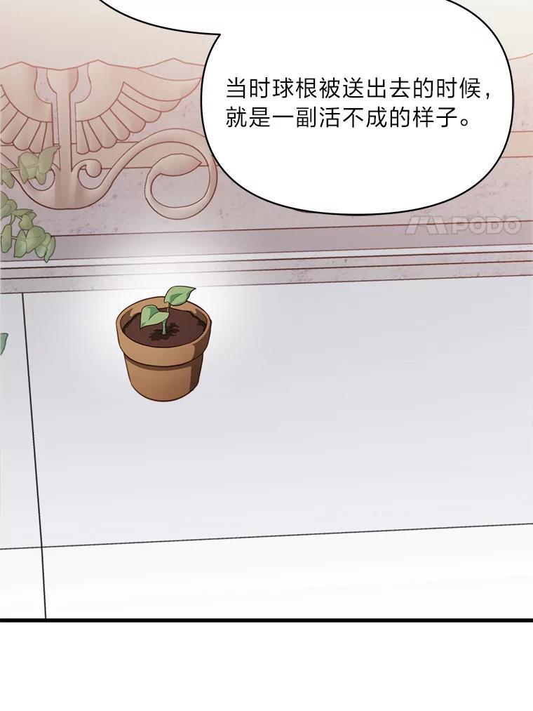 《找到我爸的儿子》86.许愿成真 第104页