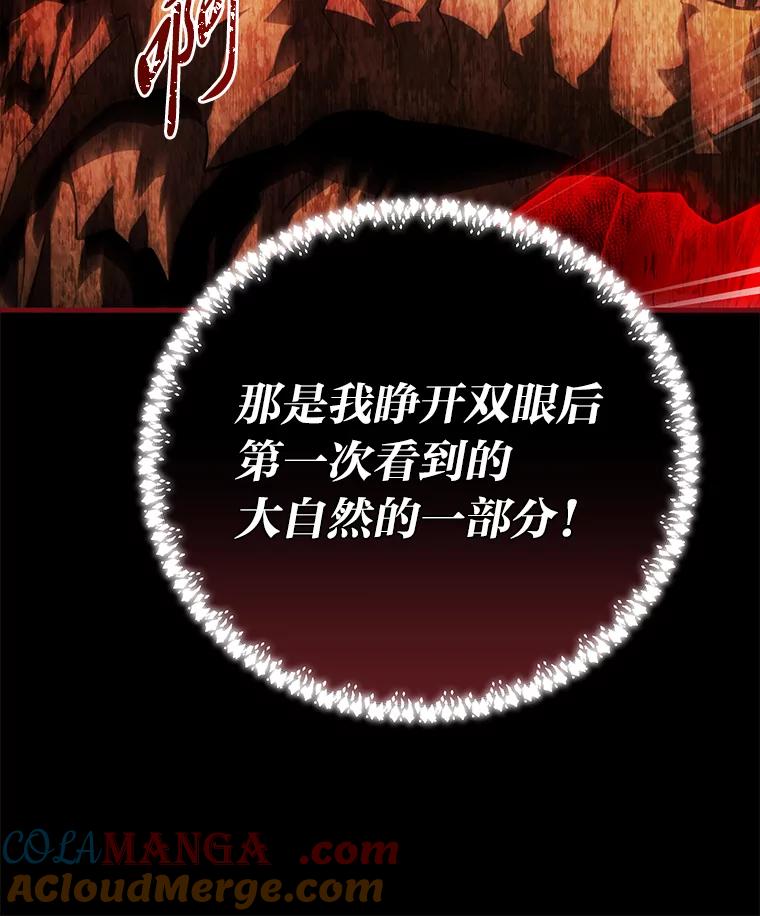 《找到我爸的儿子》96.真相浮现 第81页