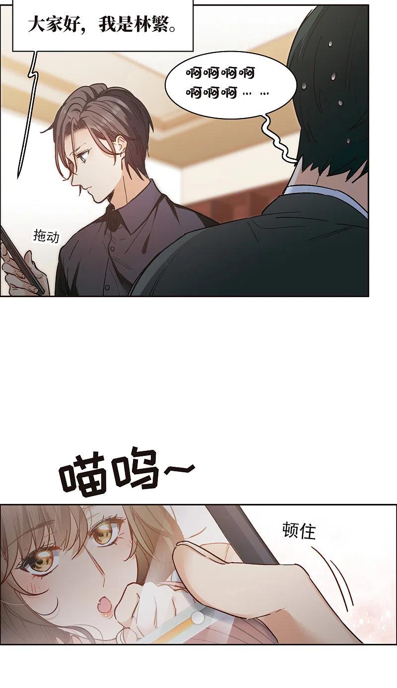 世界第一巨星 第11话1 amazing！ 第6页