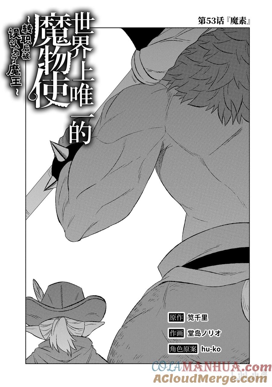 《世界上唯一的魔物使-转职后被误认为了魔王-》53-1 魔素 第3页