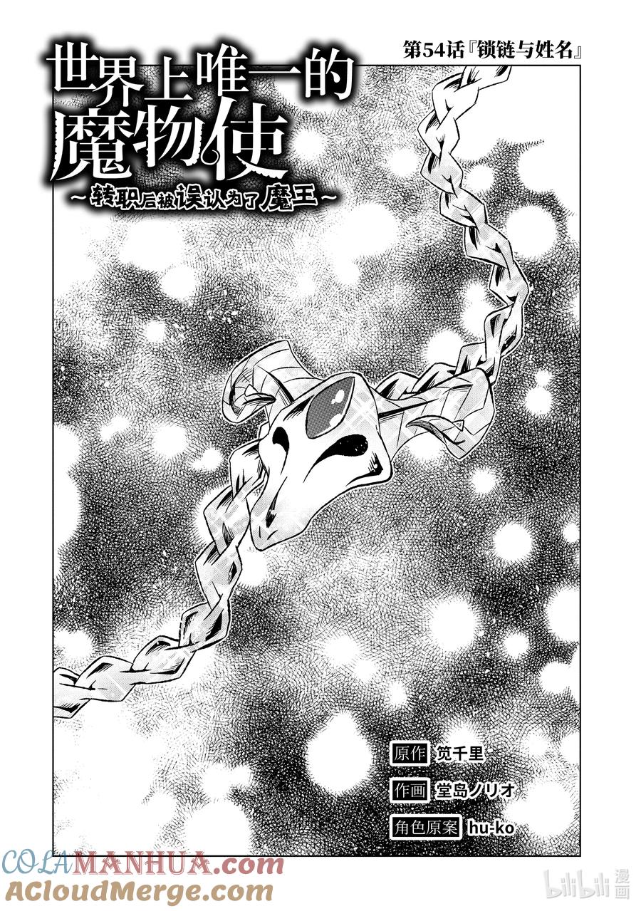 《世界上唯一的魔物使-转职后被误认为了魔王-》54-1 锁链与姓名 第2页