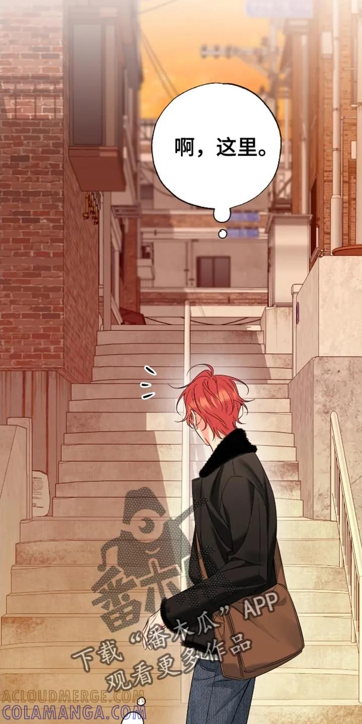 麻烦的爱情 - 第102章：【第二季】搞不懂 - 第11张图