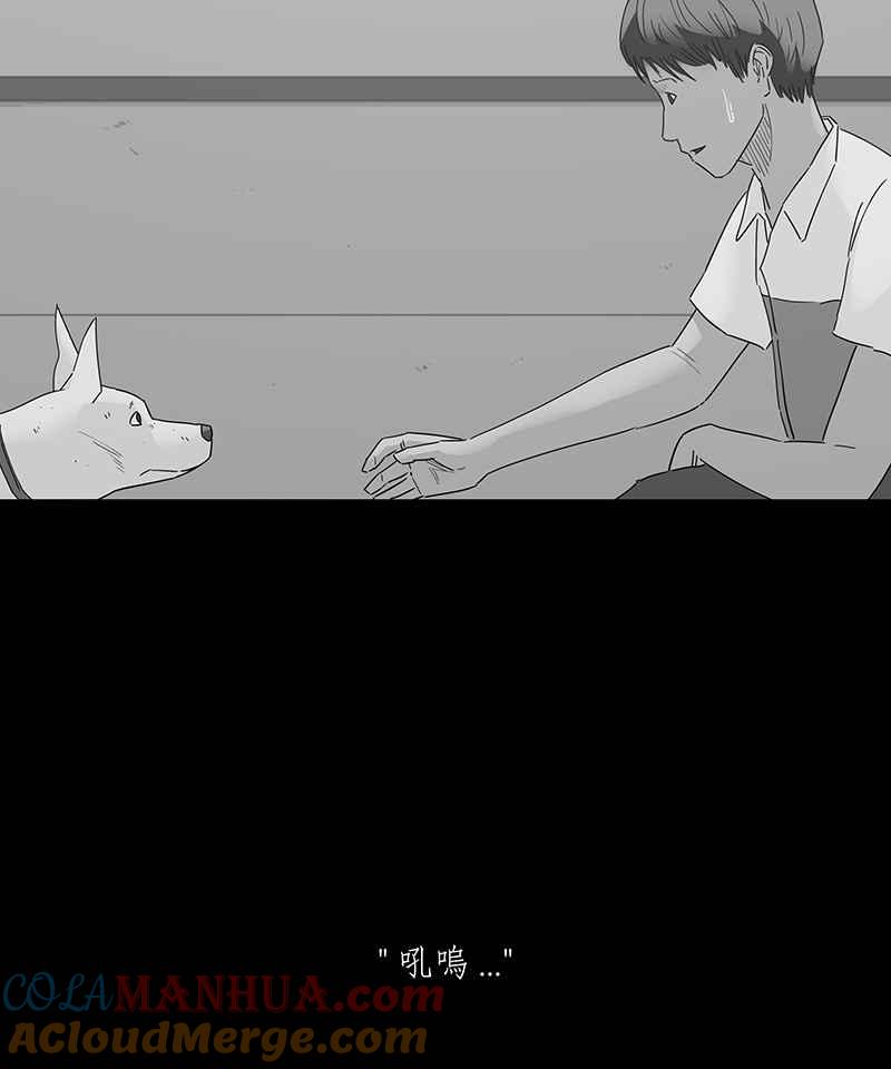 黑盒子 [第132话] 怒火(3) 第11页