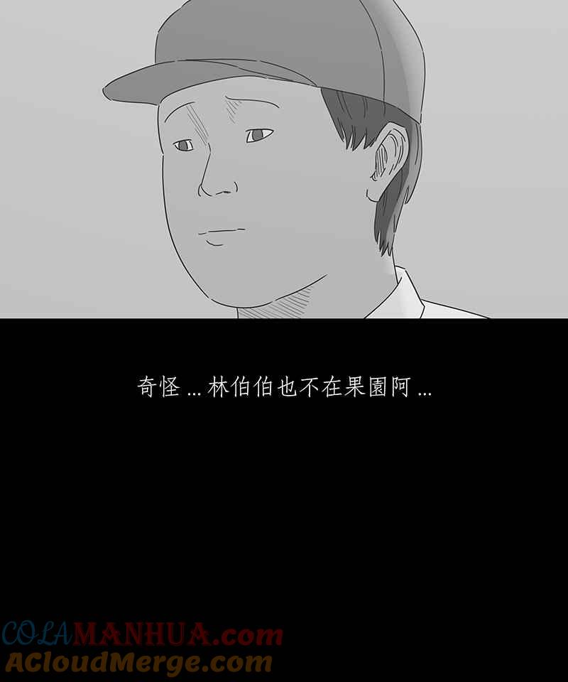 黑盒子 [第143话] 老园丁之墓(4) 第19页