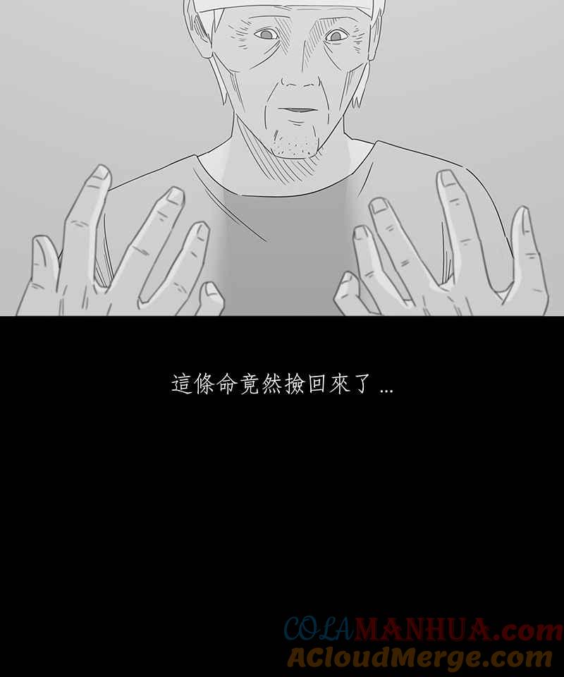 黑盒子 [第144话] 老园丁之墓(5) 第11页