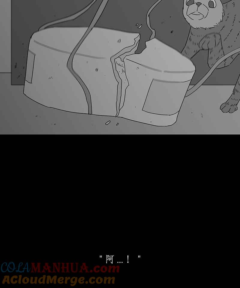 黑盒子 [第157话] 灵魂伴侣(6) 第11页