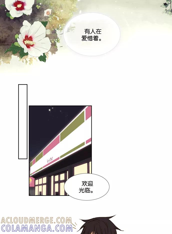 《十九岁二十一岁》[第12话] 向日葵 第11页