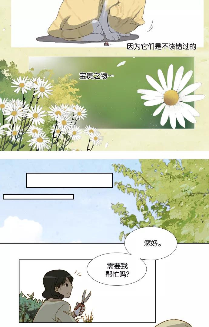 《十九岁二十一岁》[第14话] 察氏菊 第20页
