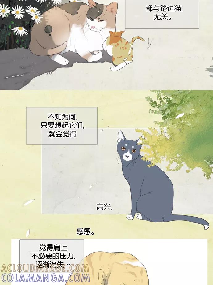 《十九岁二十一岁》[第14话] 察氏菊 第19页