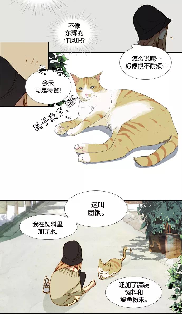 《十九岁二十一岁》[第15话] 波斯菊 第32页