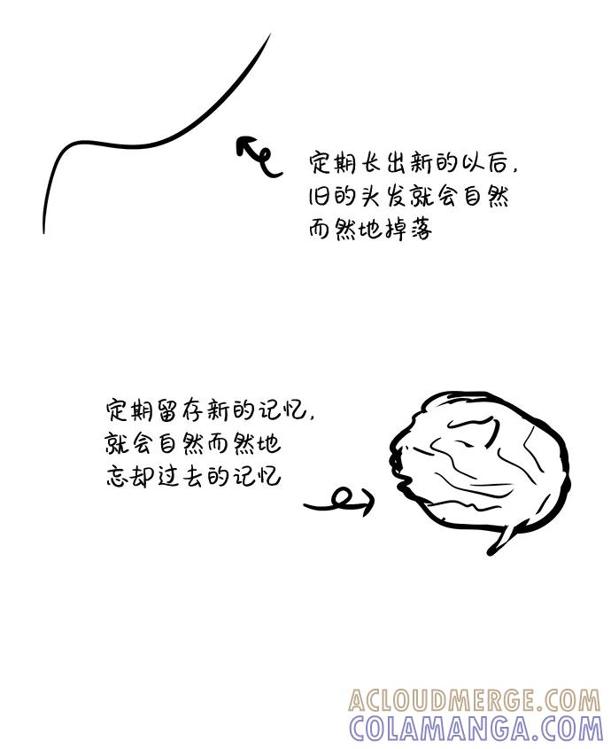 《头发中的记忆》【免费】后记 第19页