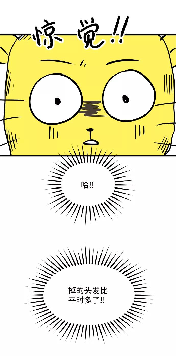 《头发中的记忆》【免费】后记 第12页
