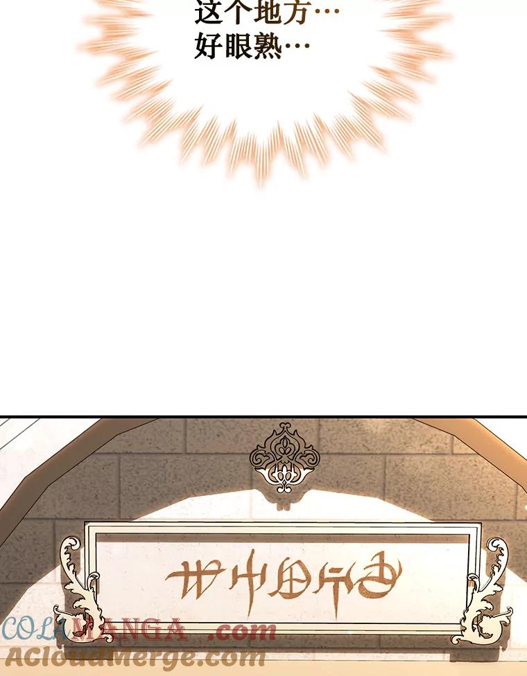 《噬龙魔法师》1.回到过去 第93页